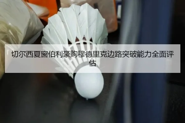 qie-er-xi-xia-chuang-bo-li-hao-gou-mu-de-li-ke-bian-lu-tu-po-neng-li-quan-mian-ping-gu-2-882.jpg