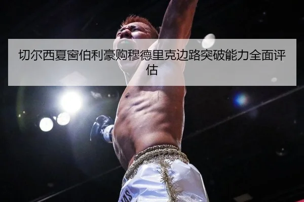 qie-er-xi-xia-chuang-bo-li-hao-gou-mu-de-li-ke-bian-lu-tu-po-neng-li-quan-mian-ping-gu-3-130.jpg