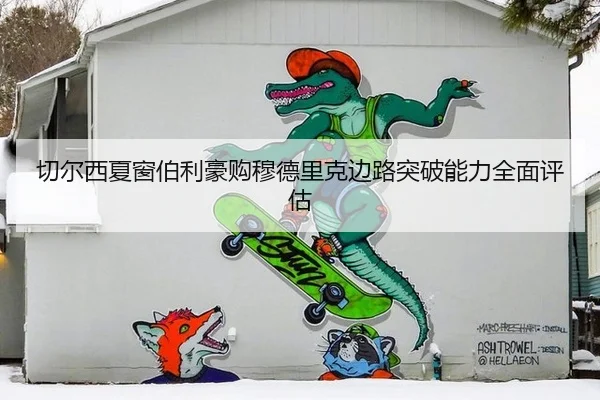 切尔西夏窗伯利豪购穆德里克边路突破能力全面评估